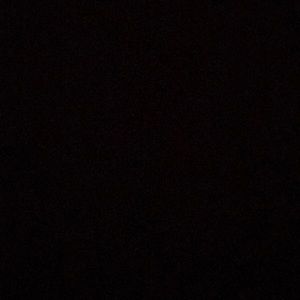 Meet your Posher, Maisy